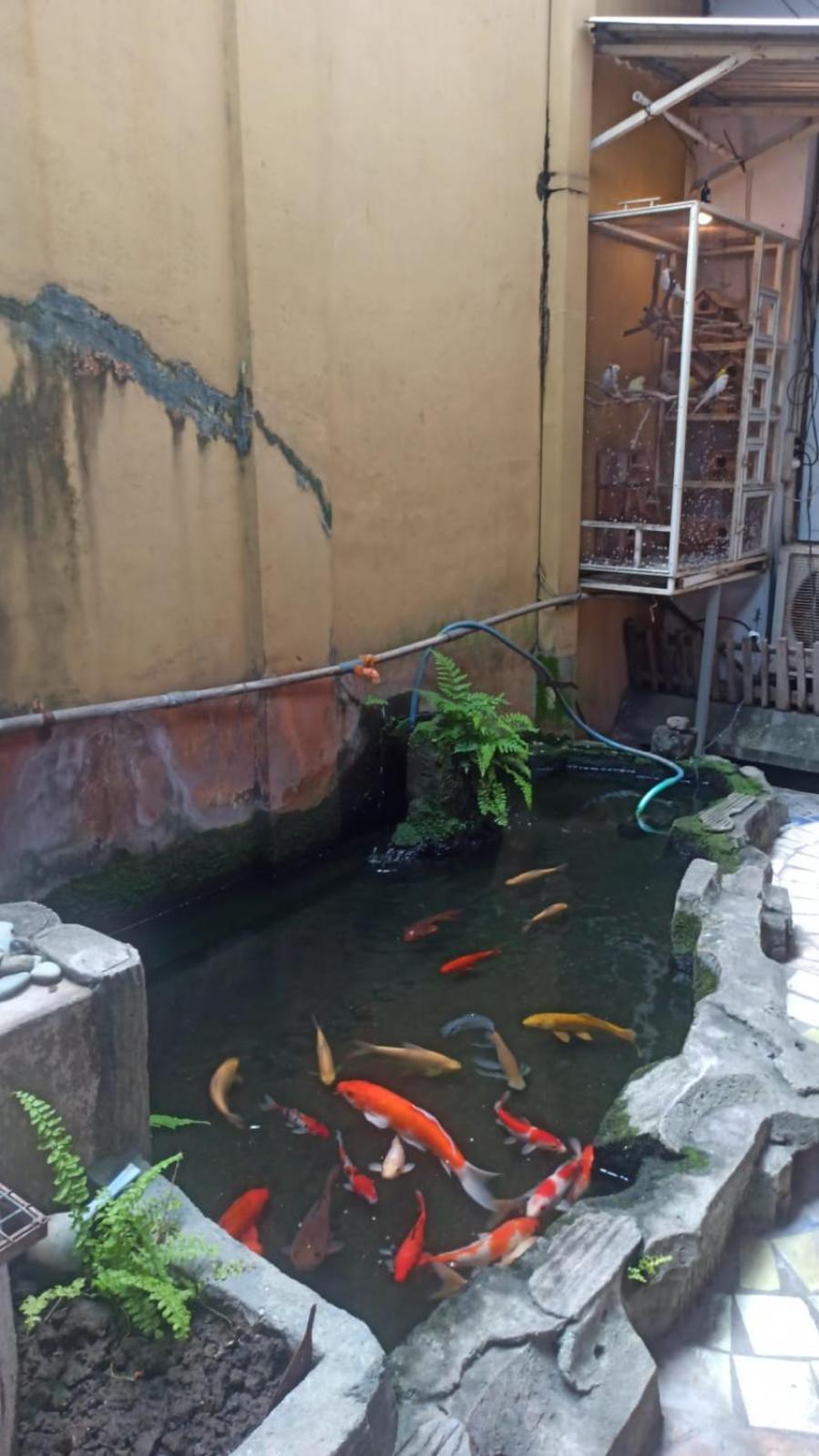 Kranggan Bethlehem Homestay